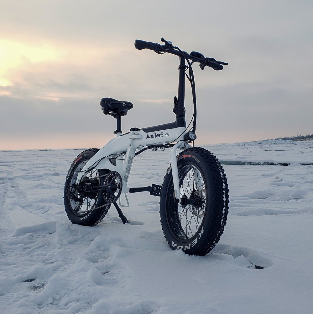 DEFIANT - 20" X 4" FAT TIRE 750W FOLDING E - BIKE - EMOTO Supply Co.